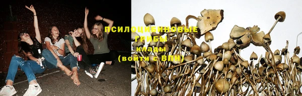марки lsd Алексин