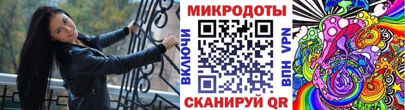 закладка Берёзовский Псилоцибиновые грибы ЛСД